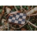 Retro Szachownica Torebka damska skórzana | BarellyBags (Kopia)